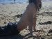 dannybee123 photo # 4