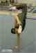 Hybridmotion photo # 7