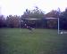 Stringboy14 photo # 1